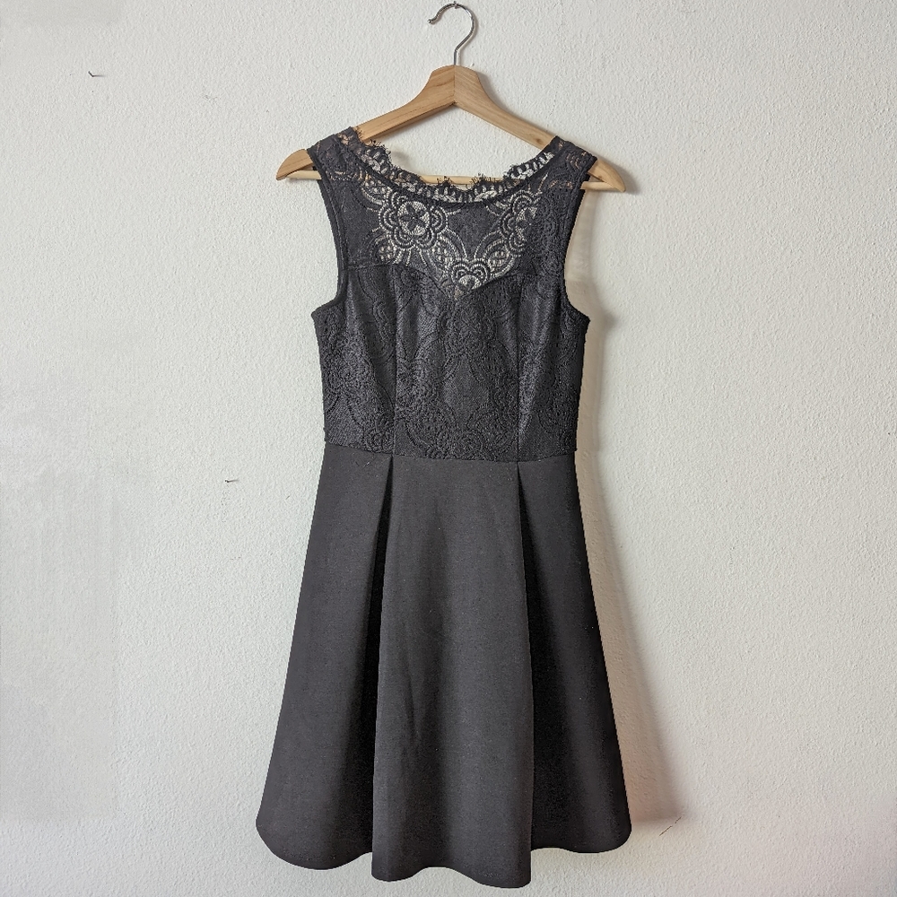 Francesca's Black Illusion Lace Pleated Mini Skater Dress